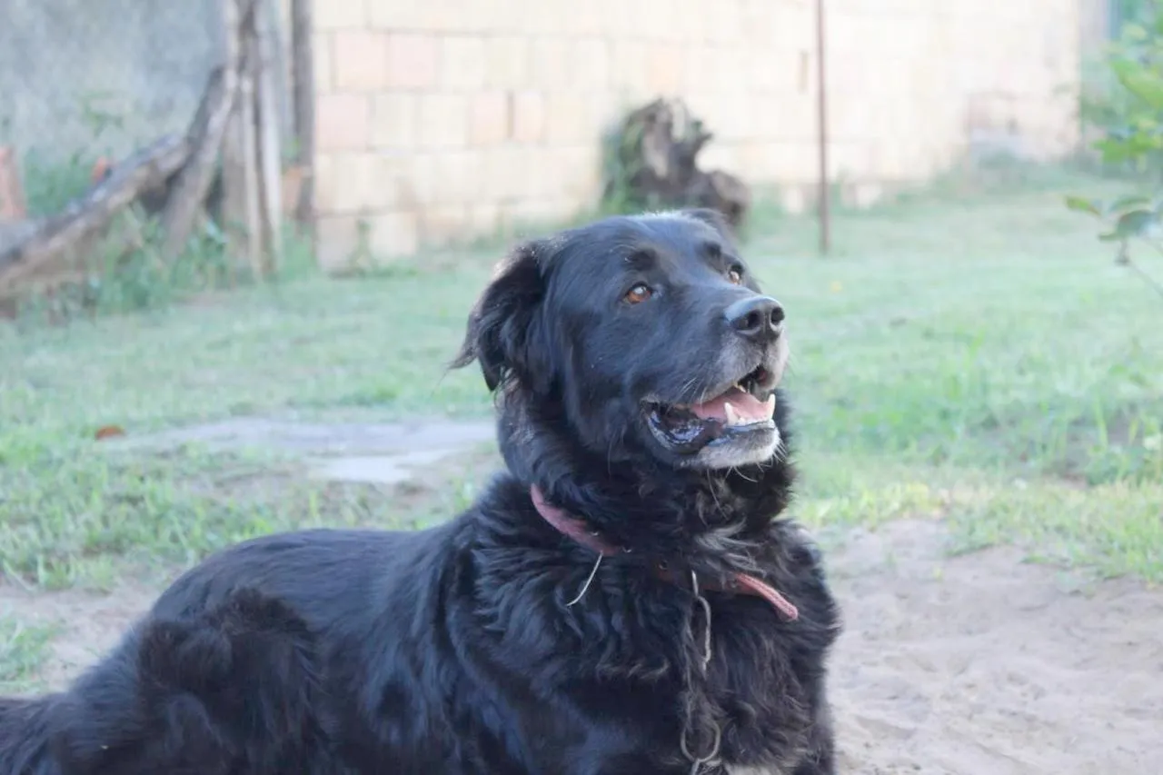 Goodbye Max: A Free Soul